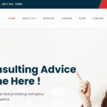 Damsel Consulting